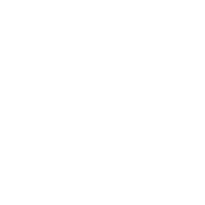 Enterprise Development
